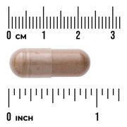 Swanson Full Spectrum Guarana 500mg 100 Capsuless herbal supplement capsule bottle 60 capsule size