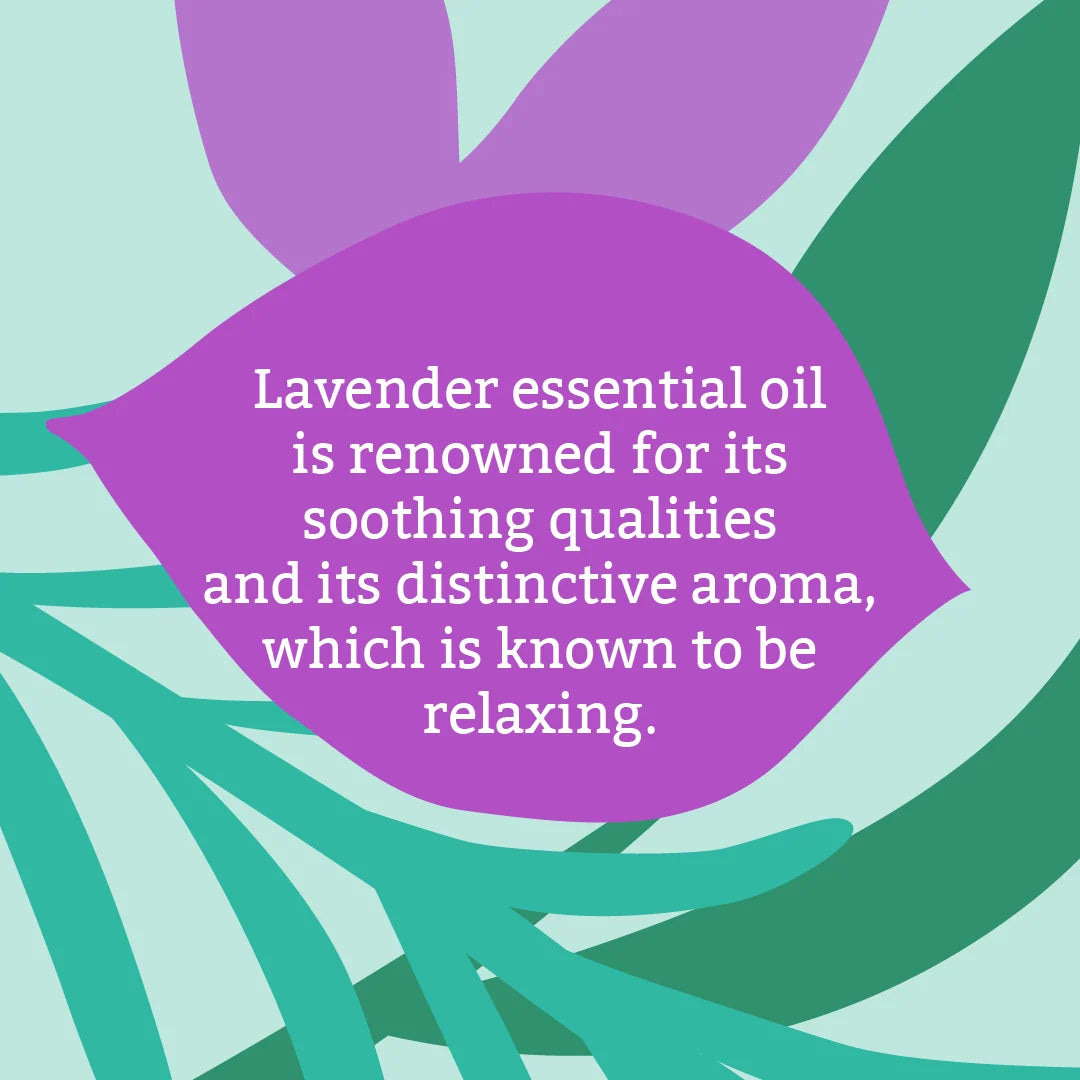 Faith In Nature Natural Lavender Vegan Bar Soap 18 × 100g cardboard packaging showing ingredients