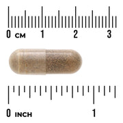Swanson Ashwagandha Extract 450mg herbal supplement capsule size