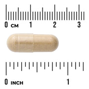 Swanson Milk Thistle Combination 175 mg capsule size comparison with measurement scale