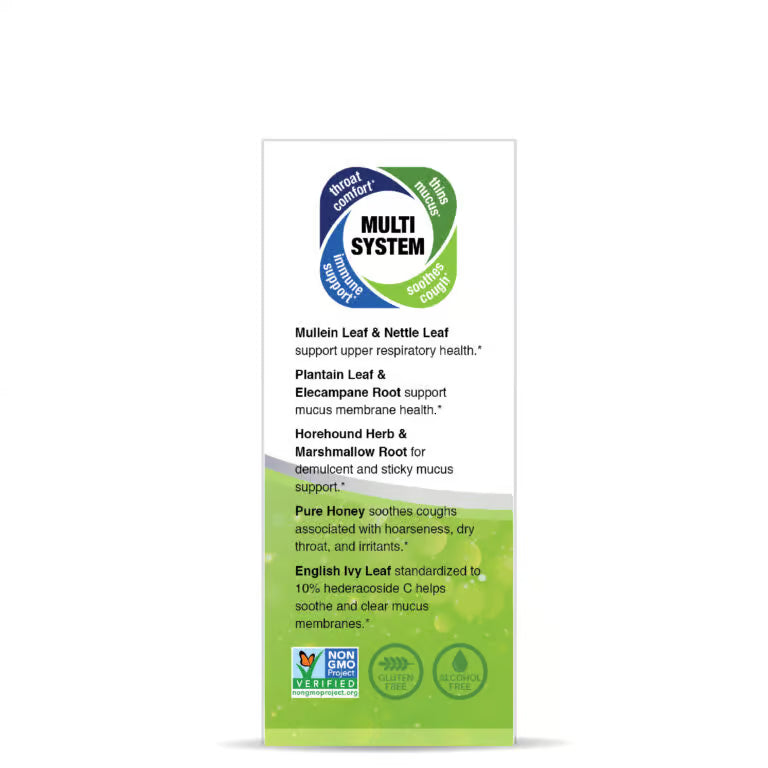 Nature’s Answer Mullein-X Herbal Liquid  box Supplement 120ml ingredient label
