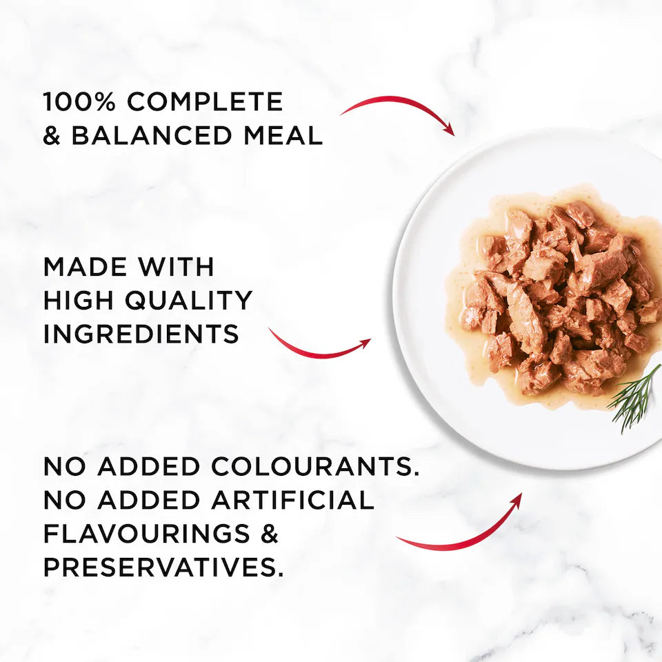 Purina Gourmet Mon Petit Intense Turkey Chicken Duck adult cat food 6 x 50g ingredients and product information