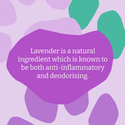 Faith In Nature Deep Cleansing Dirty Dogs Lavender Shampoo 400ml bottle packaging ingredients