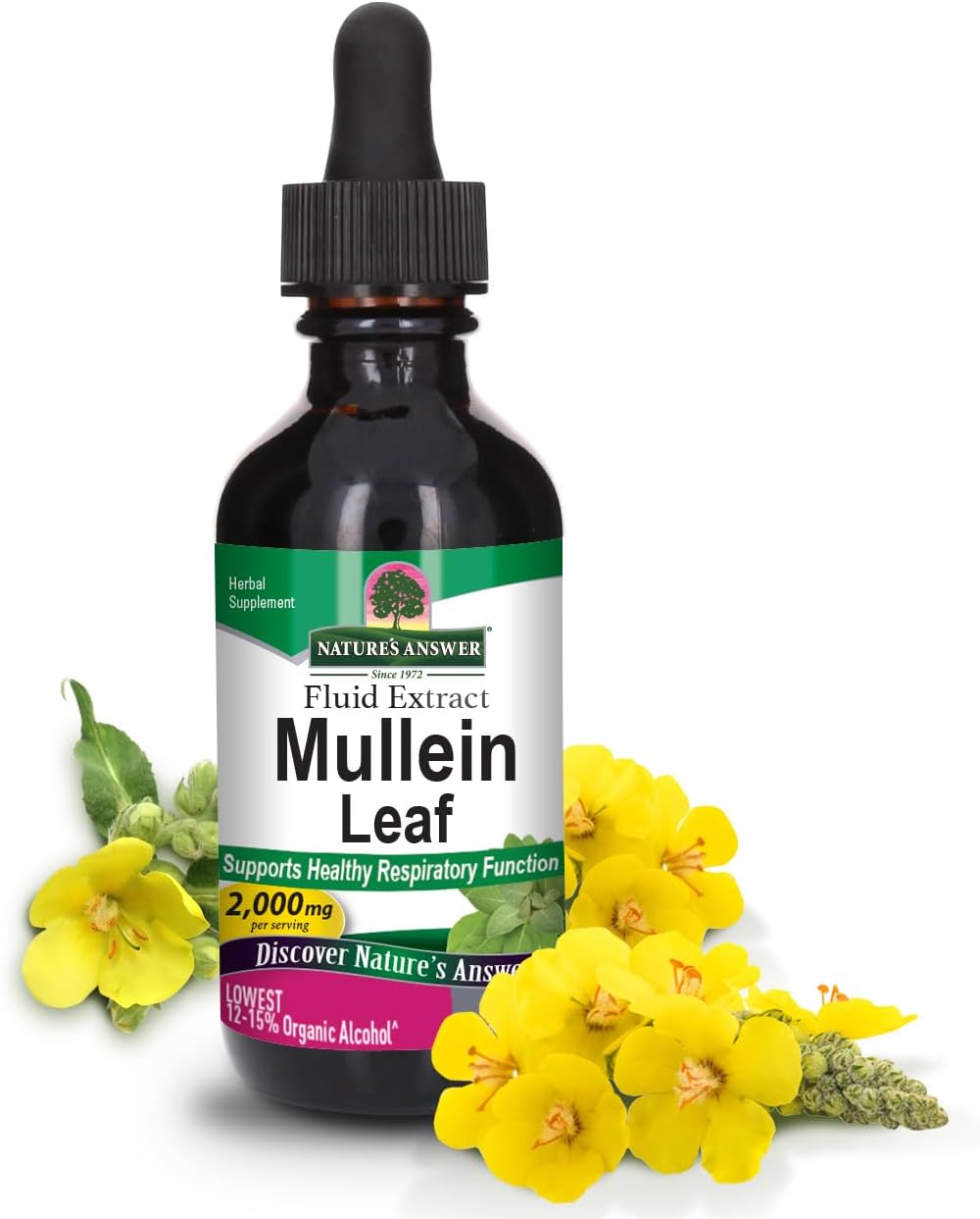 Nature’s Answer Mullein Leaf liquid extract low alcohol 2000mg 60ml bottle front view on a white background
