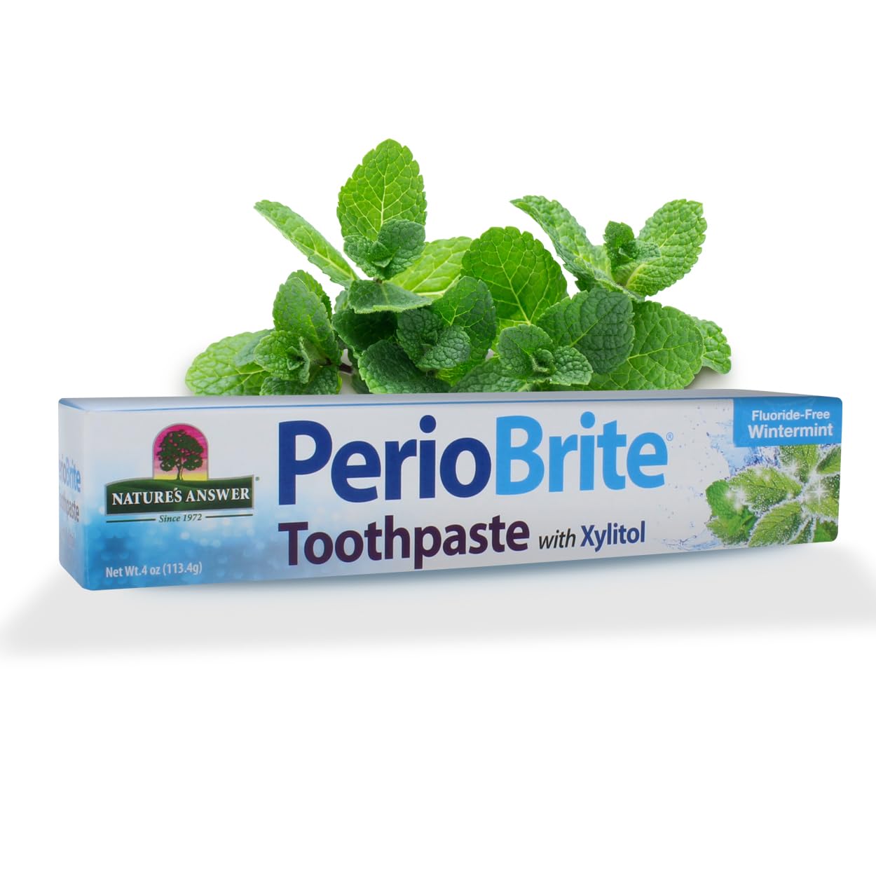Nature’s Answer PerioBrite Whitening Toothpaste Wintermint 113.4g box front view on a white background
