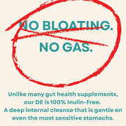 Supercharged Food Love Your Gut Diatomaceous Earth Powder - 100g