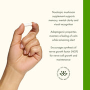 Hand holding a supplement capsule with text about nootropic mushroom supplements on a white background.