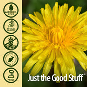 Nature’s Answer Dandelion Root Alcohol-Free Extract - 30ml
