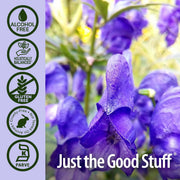 Nature's Answer Alcohol-Free Skullcap Herb Extract - 30ml