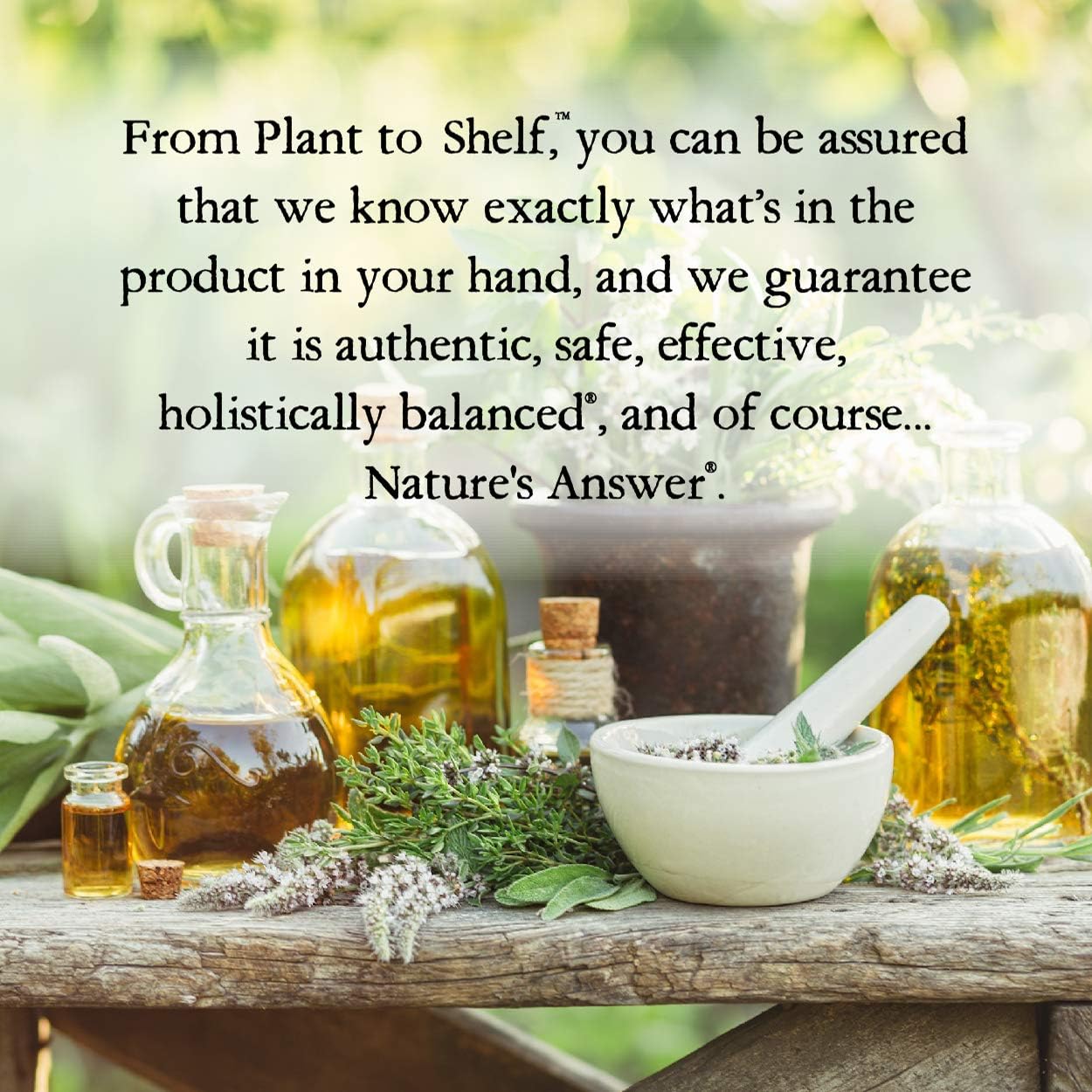 Nature’s Answer Mullein Leaf Herbal Liquid Supplement - 120ml