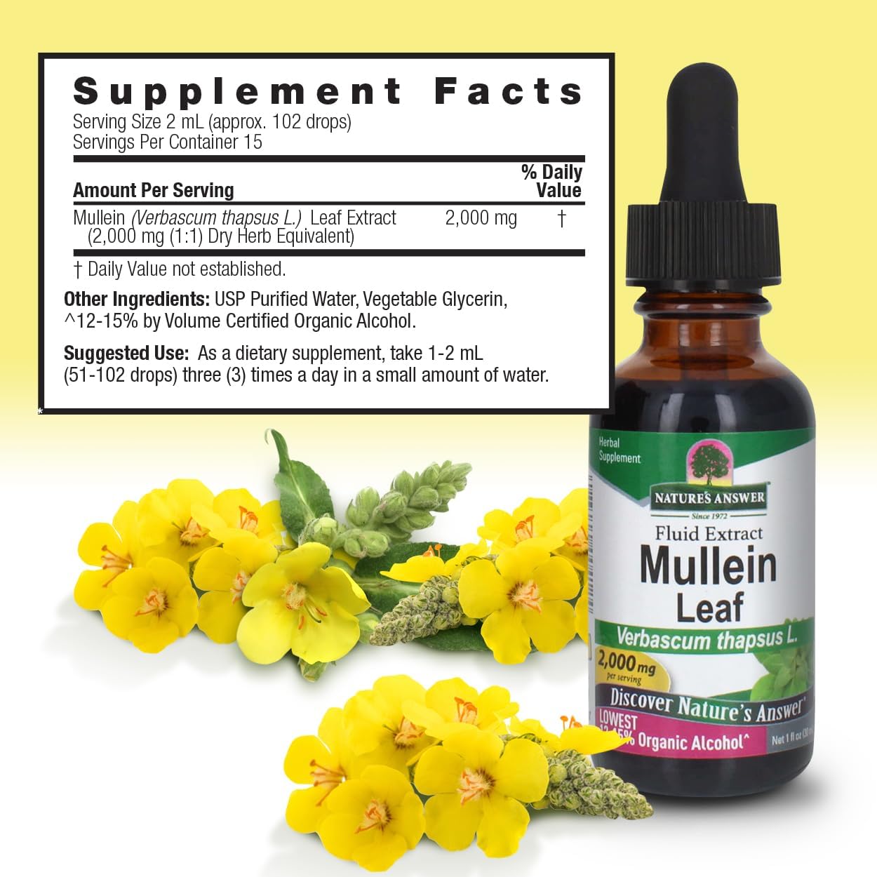Nature’s Answer Mullein Leaf supplement facts low alcohol 60ml back label on a white background