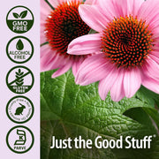 Nature’s Answer Echinacea and Goldenseal Herbal Extract Alcohol Free – 60ml