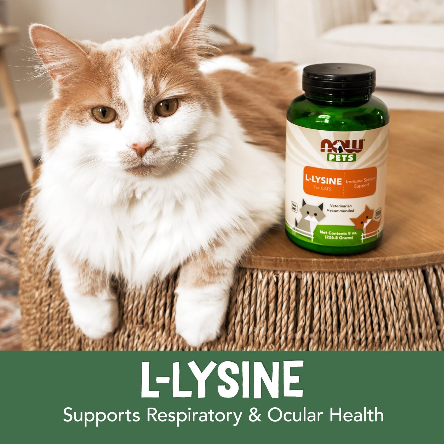 NOW Pets L-Lysine Powder for Cats - Pure Amino Acid Supplement - 226.8 g