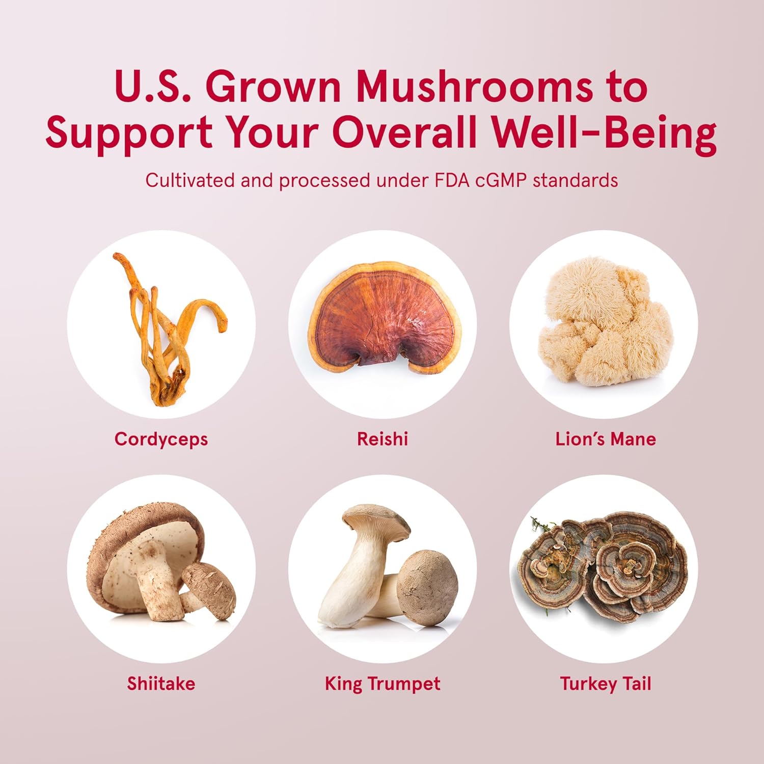 Jarrow Formulas Energy Optimizer Mushroom Complex