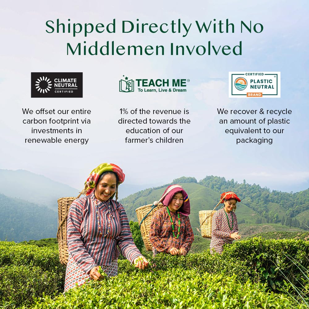 Vahdam India Turmeric Tea Variety Pack, box packaging, herbal tea varieties, 100 tea bags, 180g