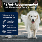 YuMOVE Joint Support Supplement for Senior Dogs - 240 Tablets