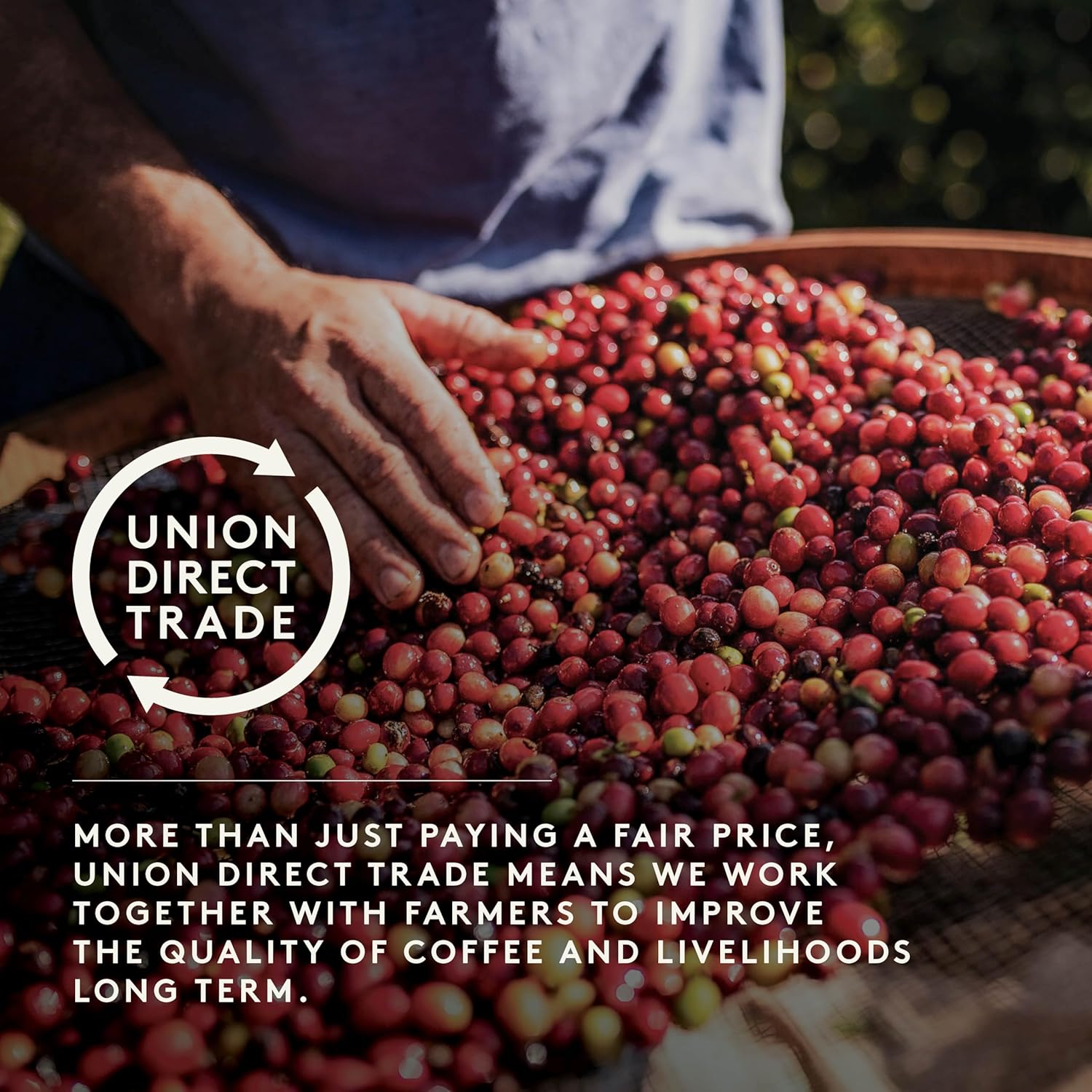 Union House Roast Original Blend Cafetiere Grind Coffee - 200g