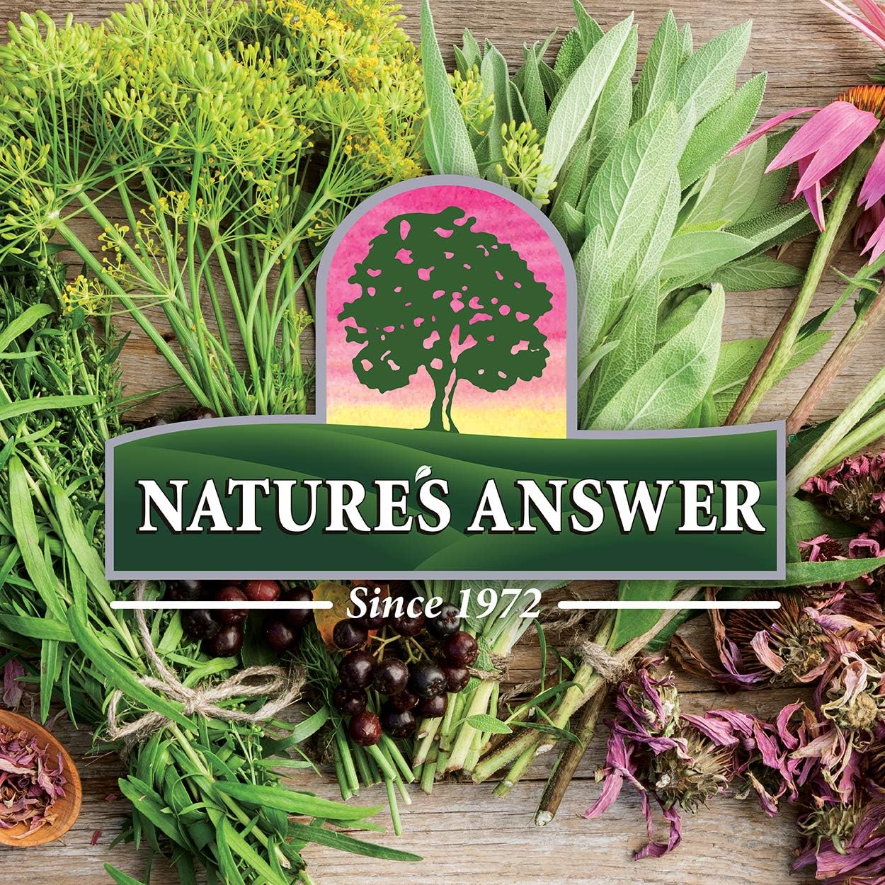 Nature’s Answer Valerian Root Herbal Liquid Supplement