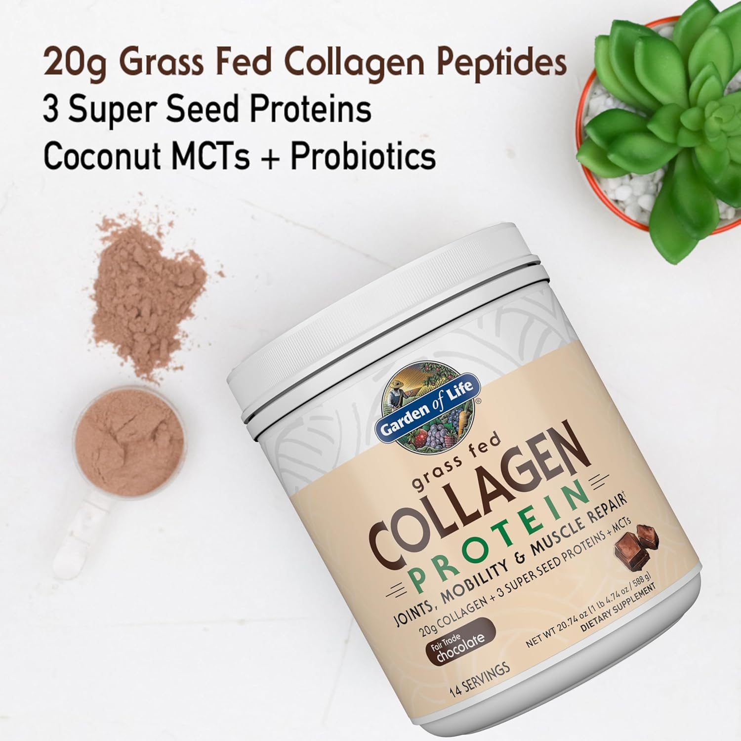 Garden of Life Grass Fed Collagen Protein Powder, Chocolate - 588g