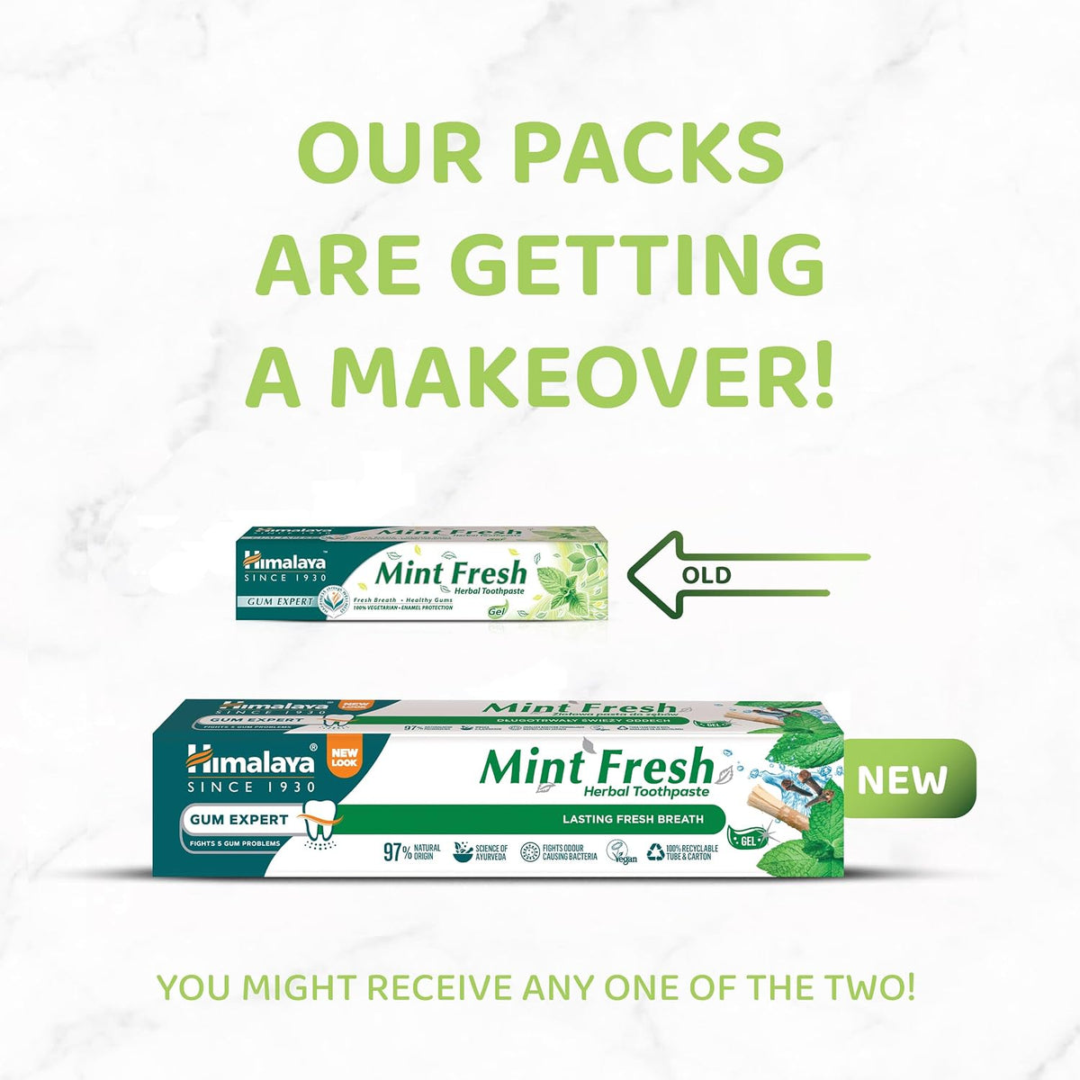 Himalaya Gum Expert Mint Fresh Herbal Gel Toothpaste 75ml product information ne packaging
