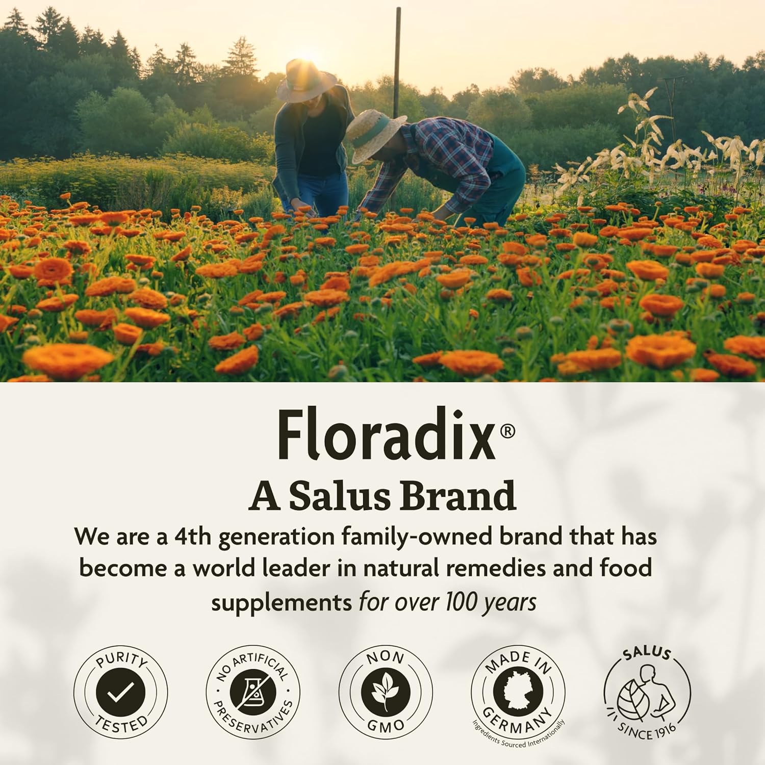 Floradix Gallexier Liquid Herbal Formula 250ml. A Salus Brand