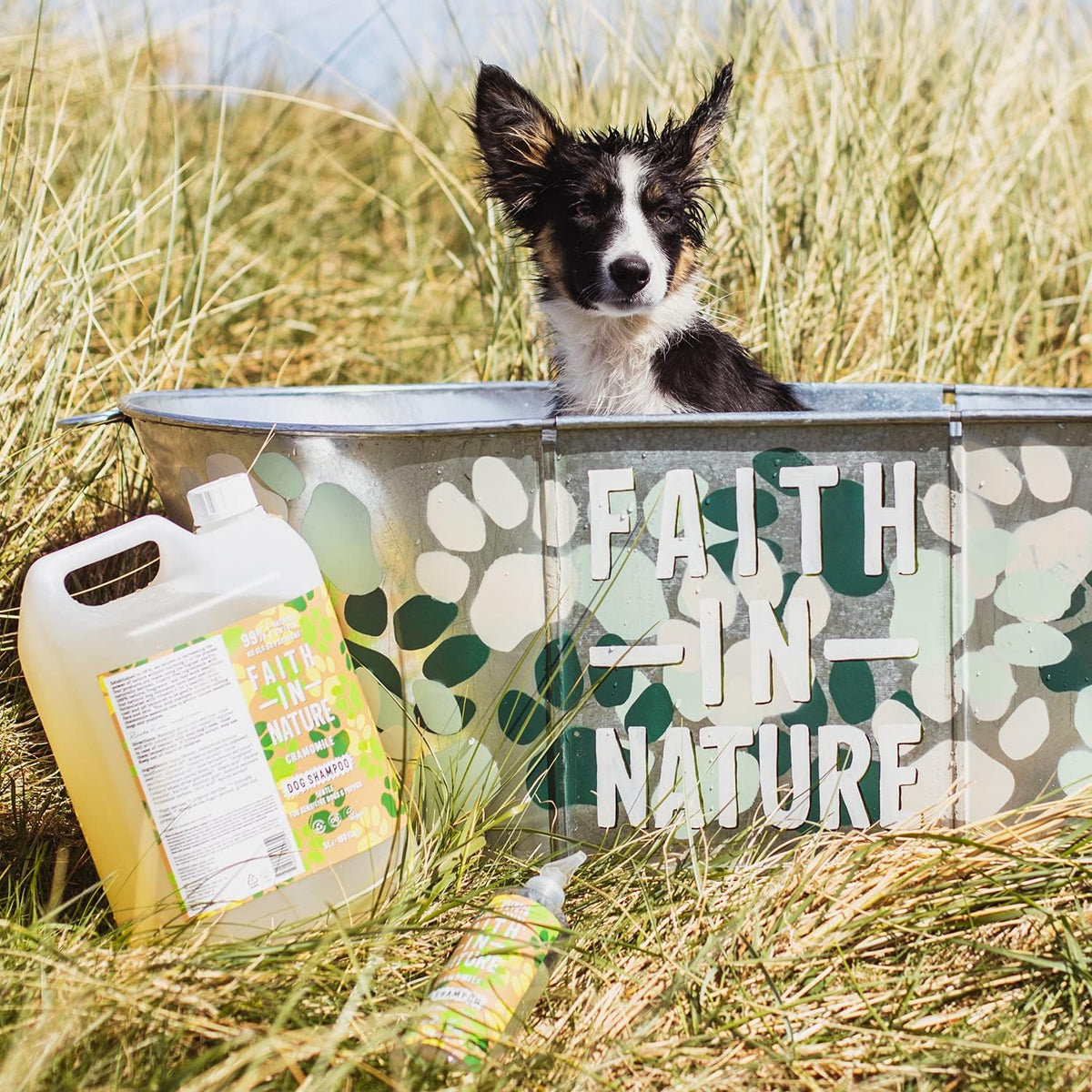Faith In Nature Gentle Dog & Puppies Chamomile Shampoo 400ml bottle packaging being used on a dog