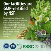 Nature's Answer Mullein Leaf Vegetarian Capsules