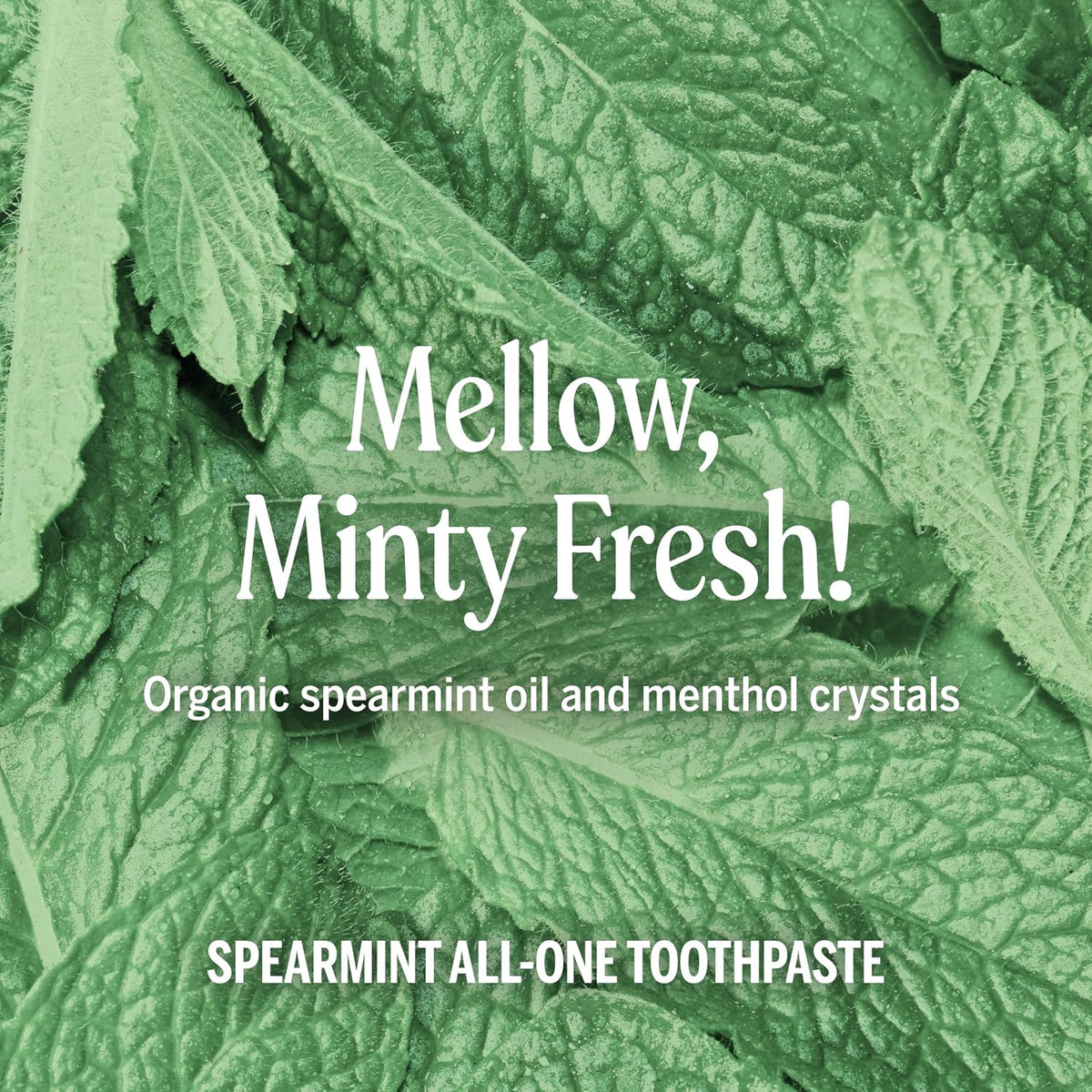 Dr. Bronner's Spearmint Fluoride Free Toothpaste 105ml tube ingredients