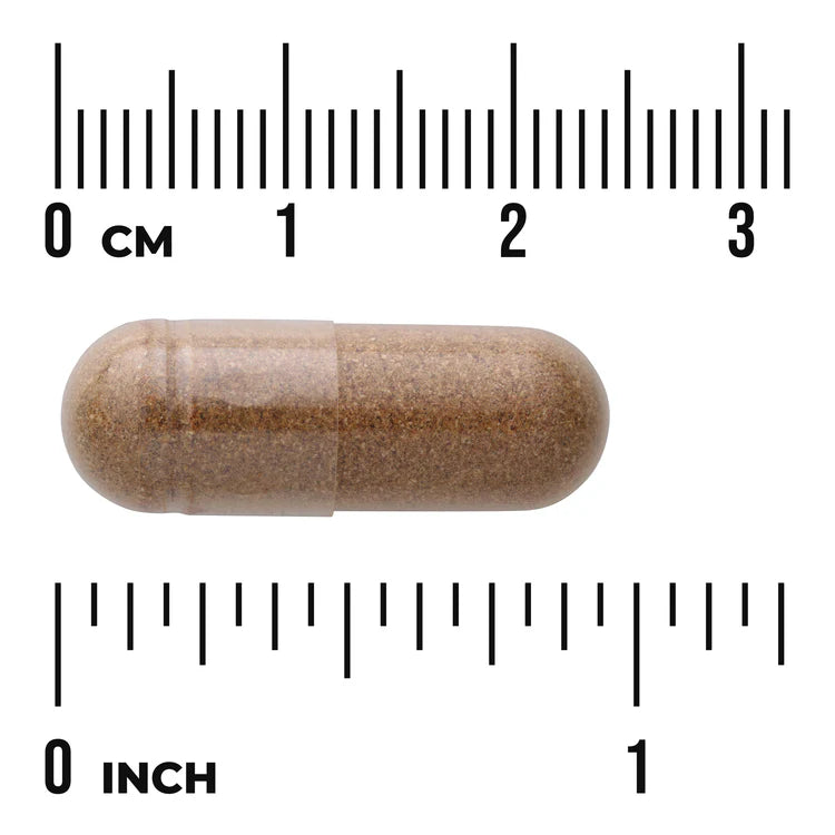 Swanson Cordyceps 120 Capsules