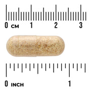 Swanson Full Spectrum Fenugreek Seed 610mg 90 Capsules herbal supplement capsule bottle 60 capsule size