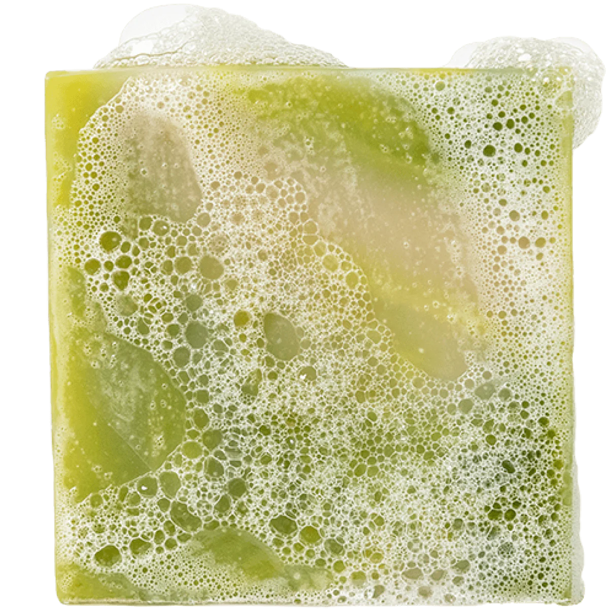 DR.SQUATCH COOL FRESH ALOE