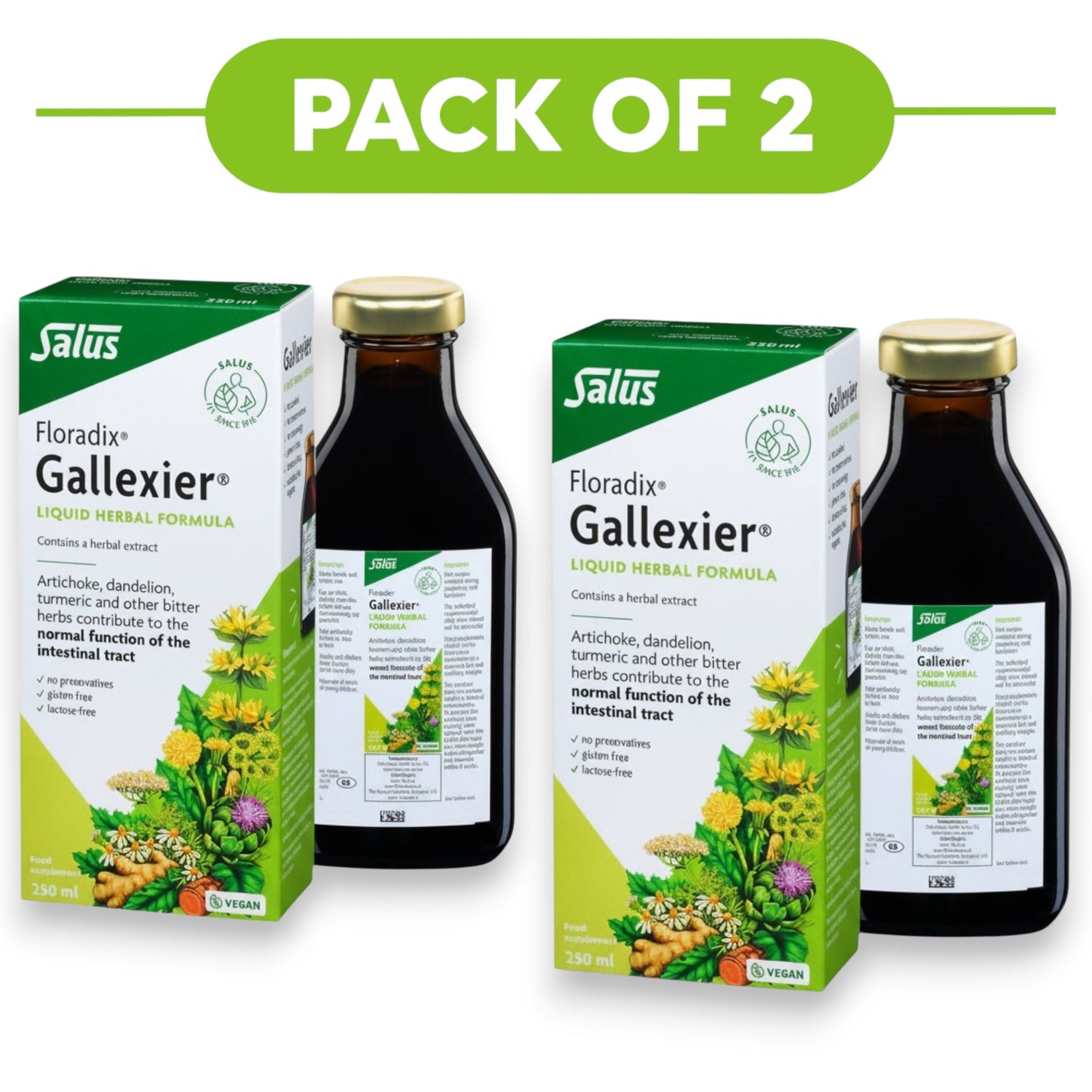 Floradix Gallexier Liquid Herbal Formula 250ml Pack of 2