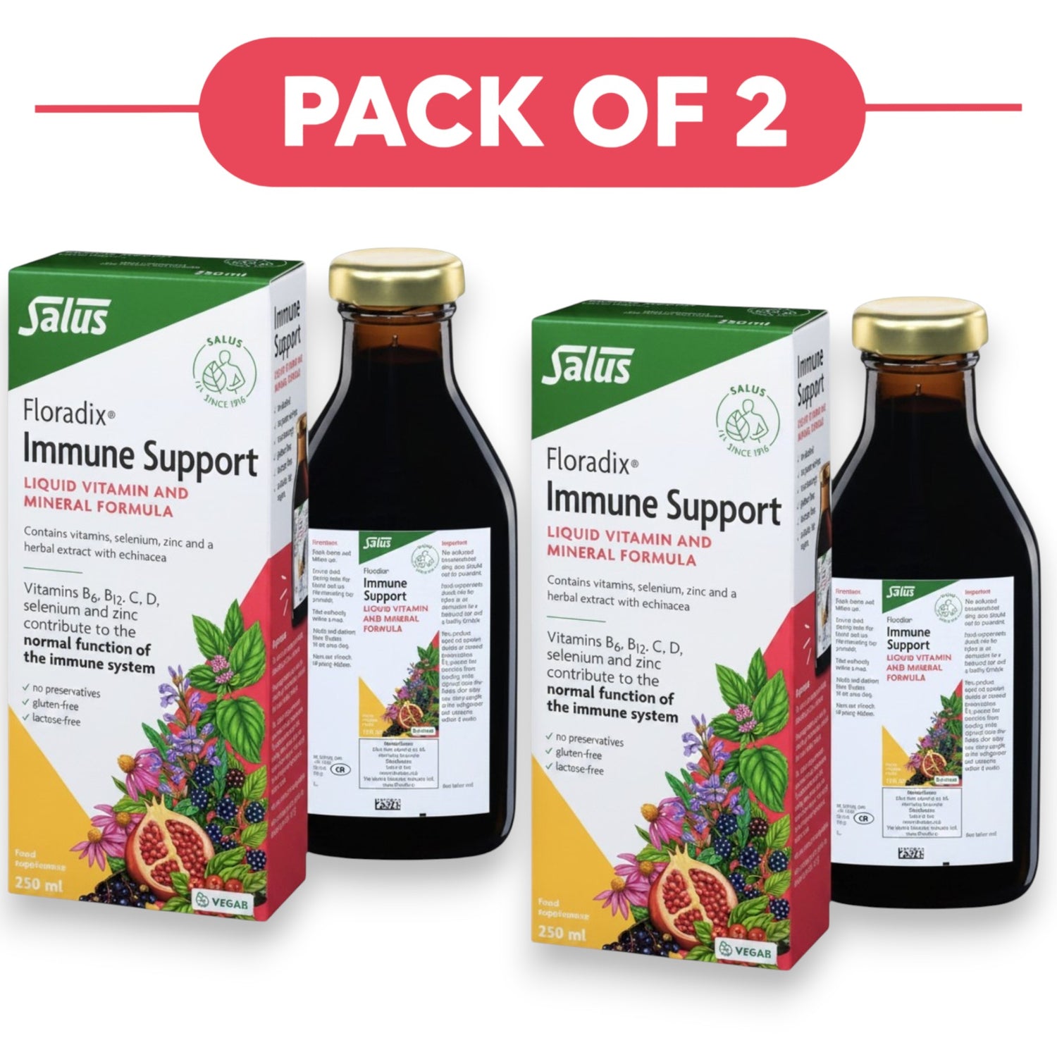 Floradix Immune Support Liquid Vitamin & Mineral Formula 250ml Pack of 2