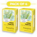 Floradix Tisane bio fenouil - 15 sachets, 2,3 g chacun