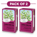 Floradix Tisane bio mélisse - 15 sachets, 1,6 g chacun