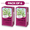 Floradix Tisane bio mélisse - 15 sachets, 1,6 g chacun