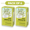 Floradix Tisane Bio au Gui - 15 Sachets, 2g Chacun