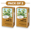 Floradix Tisane Bio à l'Ortie - 15 Sachets, 1,3g Chacun