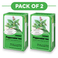 Floradix Tisane Bio à la Menthe Poivrée - 15 Sachets, 2g Chacun
