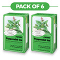 Floradix Tisane Bio à la Menthe Poivrée - 15 Sachets, 2g Chacun
