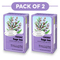 Floradix Tisane Bio à la Sauge - 15 Sachets, 2g Chacun
