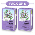 Floradix Tisane Bio à la Sauge - 15 Sachets, 2g Chacun
