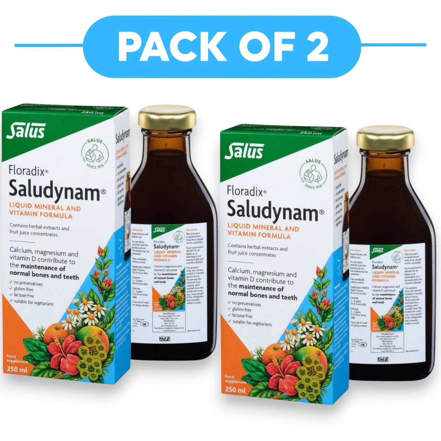 Floradix Saludynam Liquid Mineral & Vitamin Formula 250ml Pack of 2