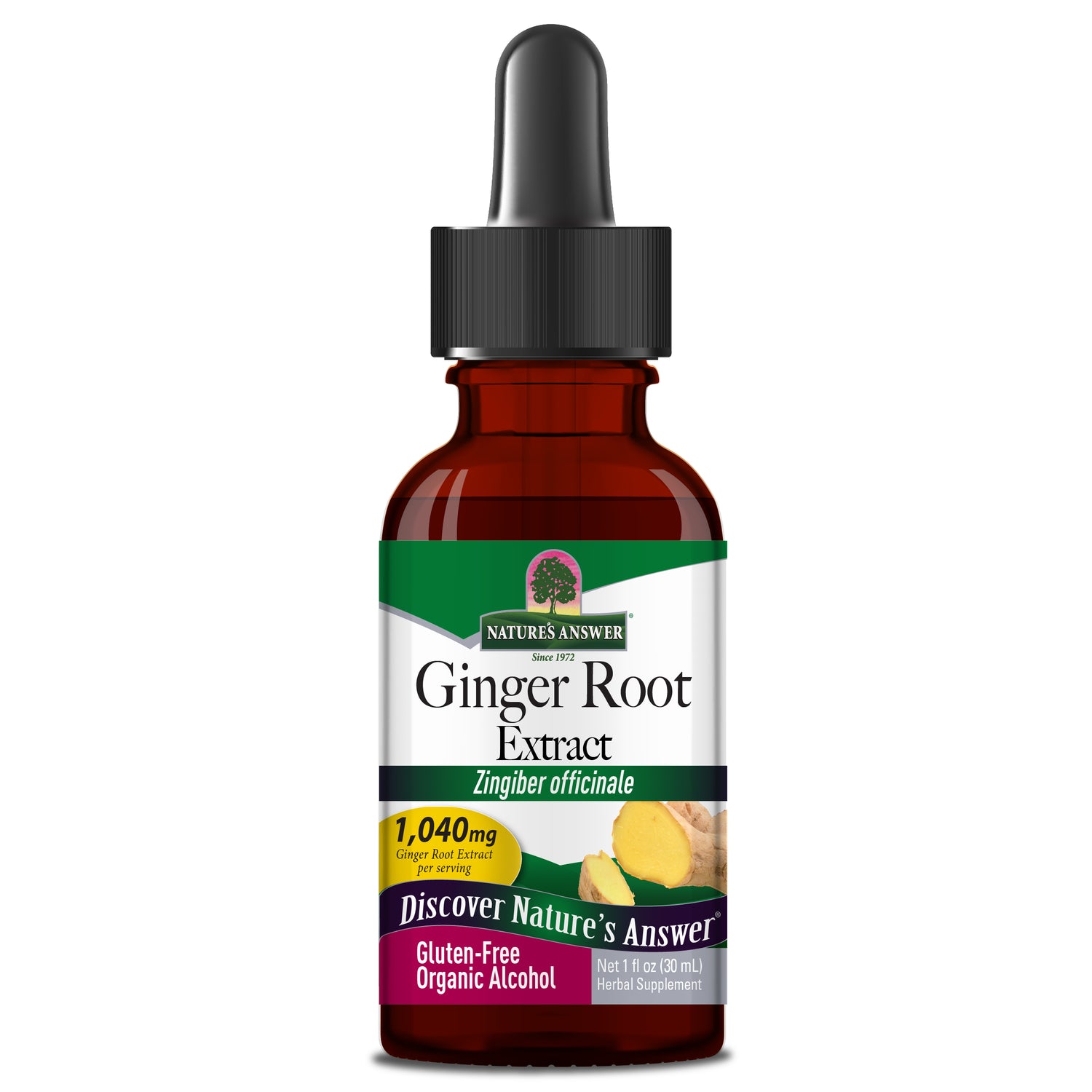 Nature’s Answer Ginger Root Liquid Extract with Organic Alcohol 30ml bottle front view on a white background