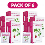 NutraTea Raspberry Leaf & Peppermint Herbal Tea 20 Tea Bags Pack of 6