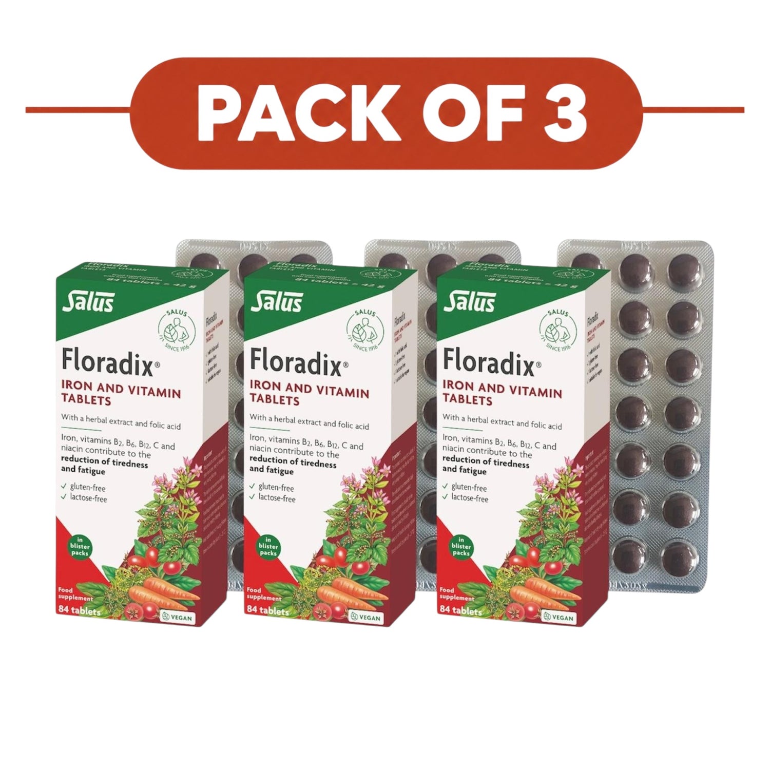 Floradix Formule Végane Pack triple - 3 x 84 comprimés