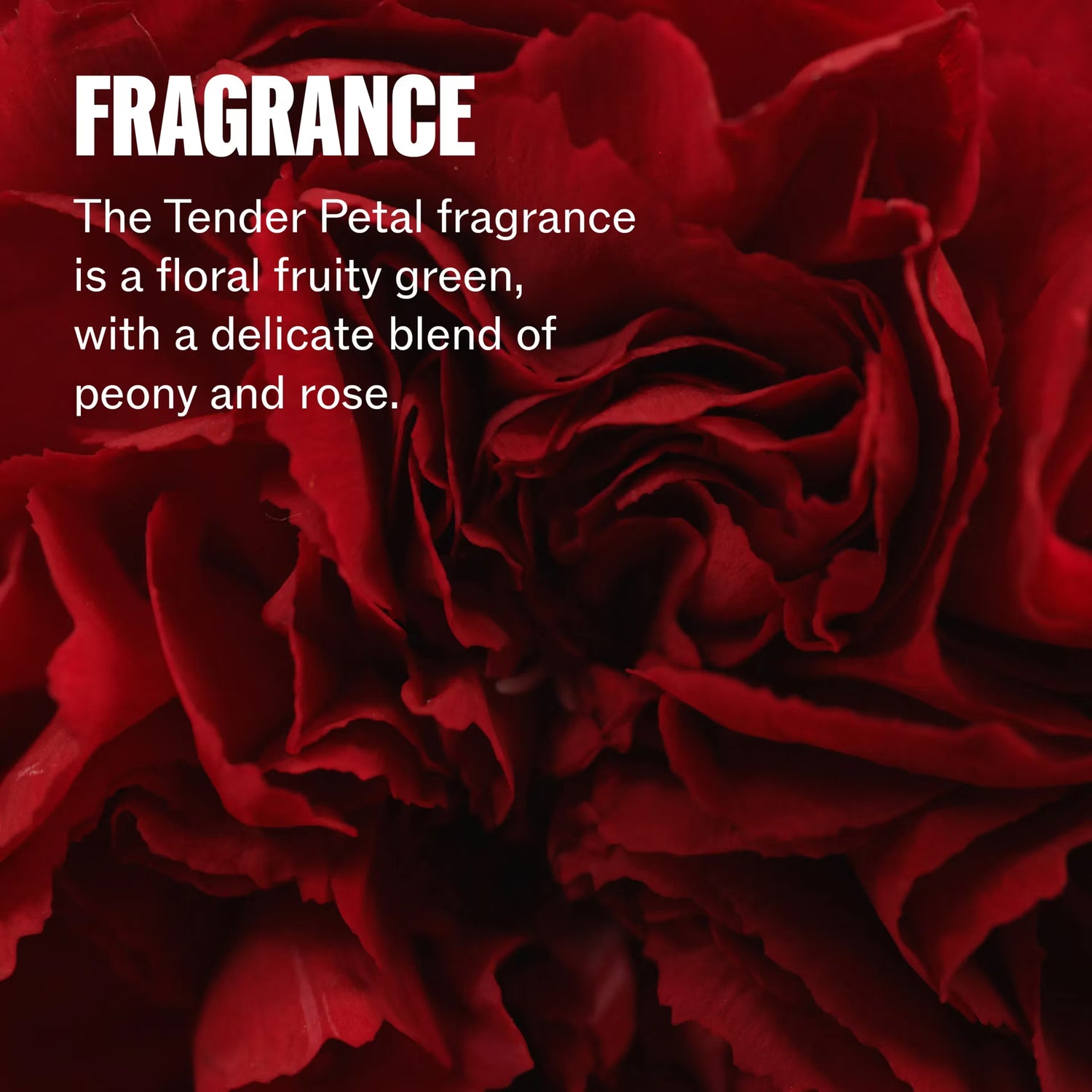 Wella Professionals Protective Leave-In for Damaged Hair, Step 4 - 140ml