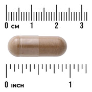 Swanson Dong Quai 100 Capsules | 530 mg | Women’s Health Support