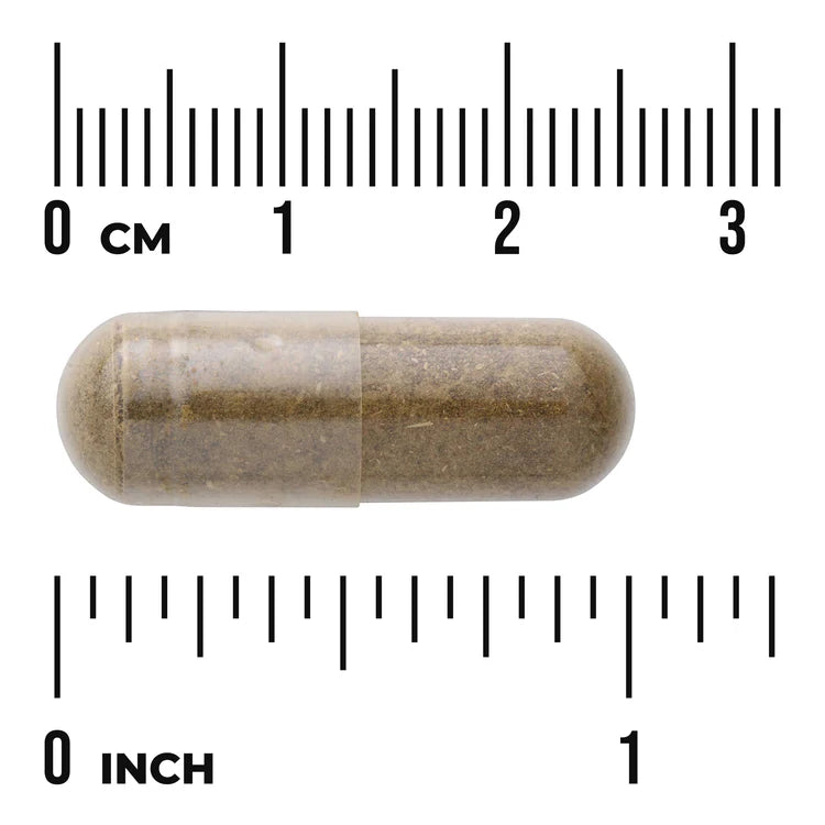 Swanson Full Spectrum Damiana 510mg 100 Capsules bottle 60 capsule size