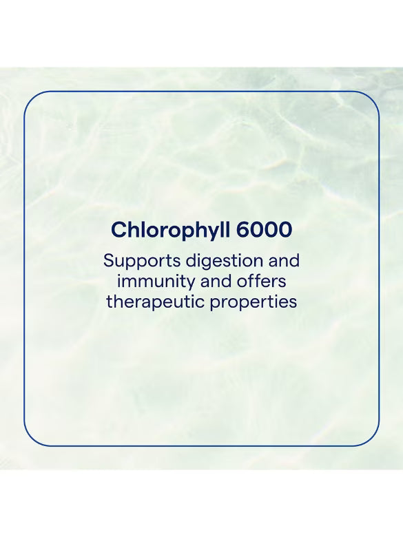 Trace Minerals Ionic Chlorophyll 6000 Liquid Mint - 59ml